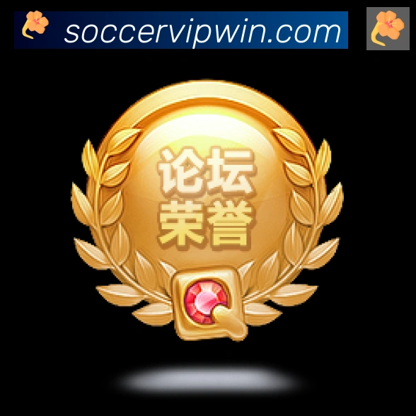 世界杯实时竞猜入口平台生态图