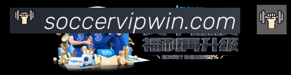 未来规划